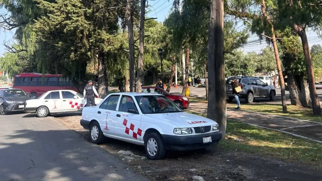 Fuertes lluvias causan caída de árboles y caos vial en la México-Toluca