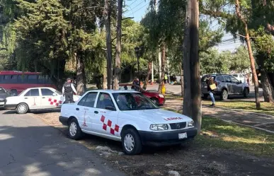 Fuertes lluvias causan caída de árboles y caos vial en la México-Toluca