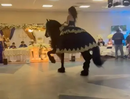 La quinceañera montando el caballo mientras el equino realizaba su vals dando vueltas en el salón de fiestas. Foto: Facebook Los Manantiales.