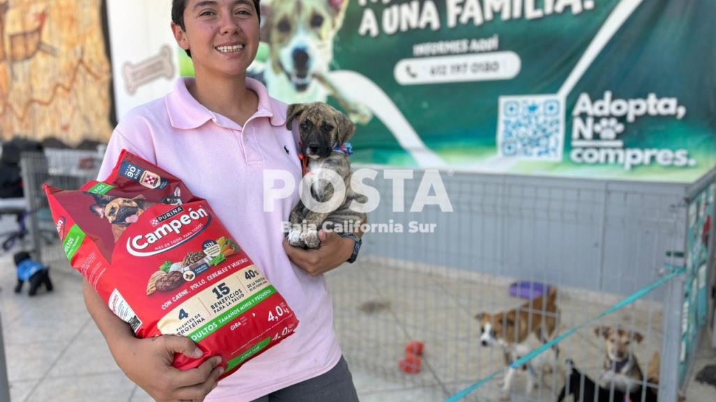 Jornada de adopción en CEMAC La Paz: estos son los requisitos para adoptar