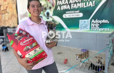 Jornada de adopción en CEMAC La Paz: estos son los requisitos para adoptar