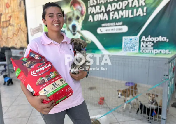 Jornada de adopción en CEMAC La Paz: estos son los requisitos para adoptar