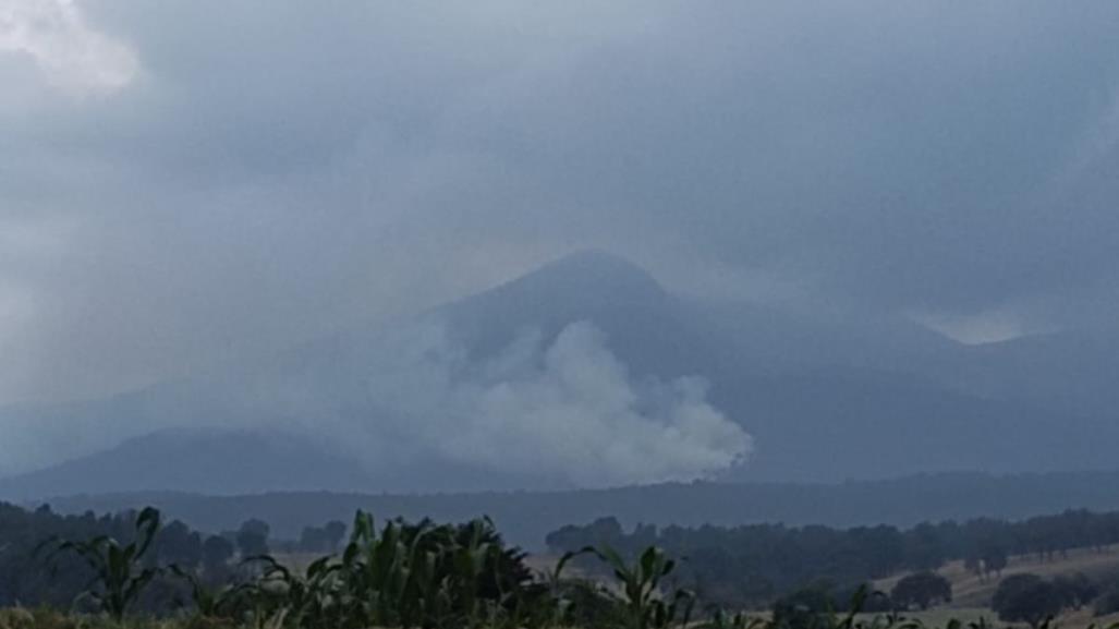 Alerta: Incendio forestal en Nevado de Toluca