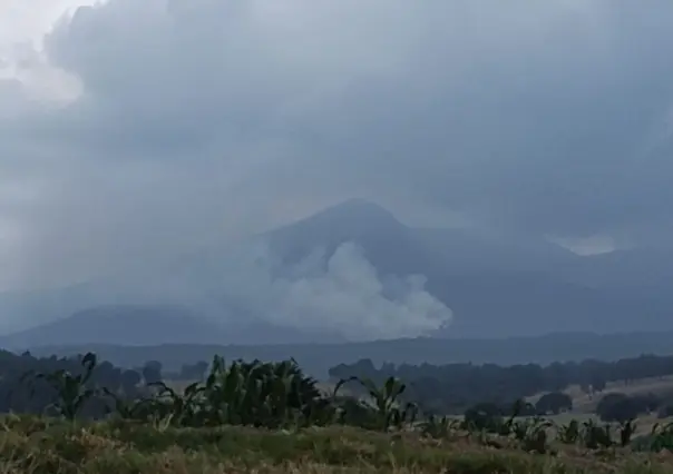 Alerta: Incendio forestal en Nevado de Toluca