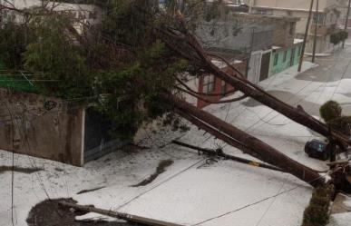 Intenso granizo y lluvia sorprende a Puebla; derrumba árboles e inunda autos