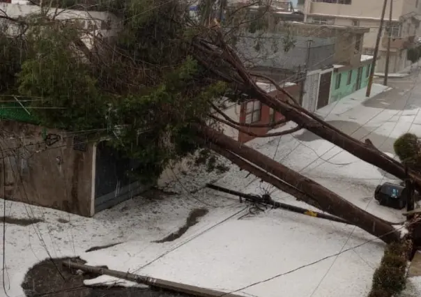 Intenso granizo y lluvia sorprende a Puebla; derrumba árboles e inunda autos