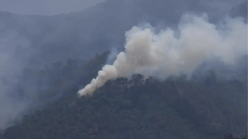 Controlado en un 90 por ciento incendio en el Cañón del Novillo