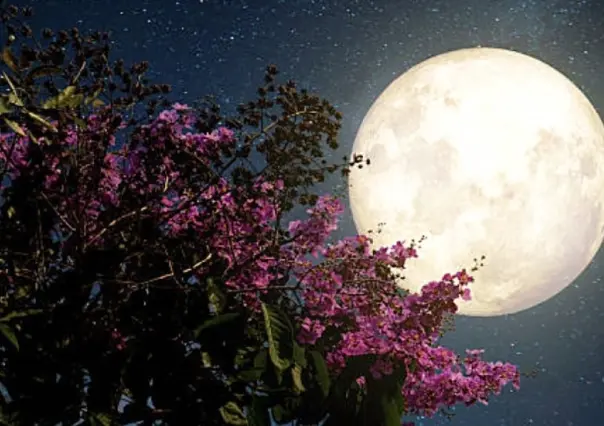 ¿Por qué se le llama Luna de las Flores?, así lució en La Paz, BCS (FOTO)