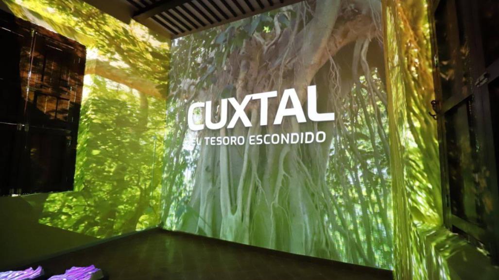 Reserva Cuxtal estrena videomapping para conocer este gran pulmón de Mérida