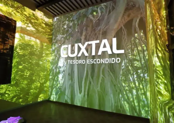 Reserva Cuxtal estrena videomapping para conocer este gran pulmón de Mérida