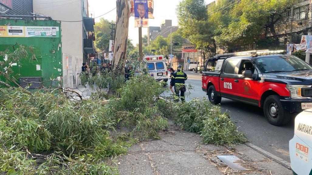 Joven resulta herida tras caerle una rama de árbol en la Narvarte