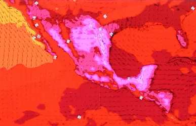 Tercera ola de calor lleva 48 muertes en México