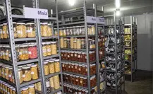 Amaranto, trigo y maíz tendrán mejores semillas en Edomex