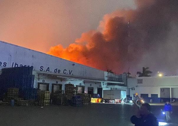 Fuego consume dos grandes tiendas en Altamira