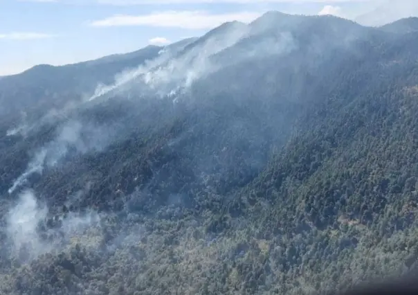 Incendios forestales a la baja, siguen activos tres en Edomex