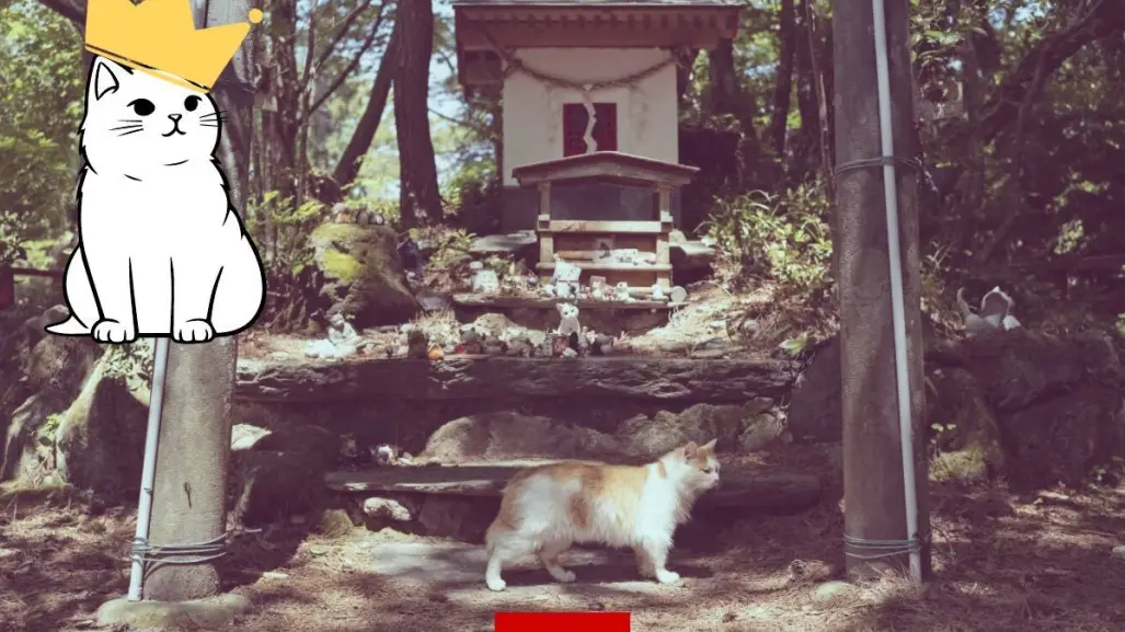 El santuario de los gatos en Japón atrae a curiosos