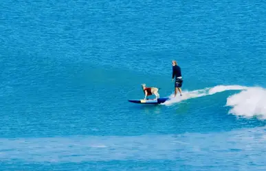 La historia de Paradise, la chiva surfista de San Juanico, BCS