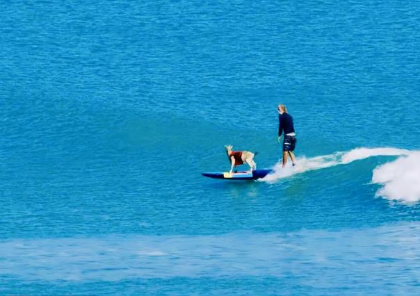 La historia de Paradise, la chiva surfista de San Juanico, BCS