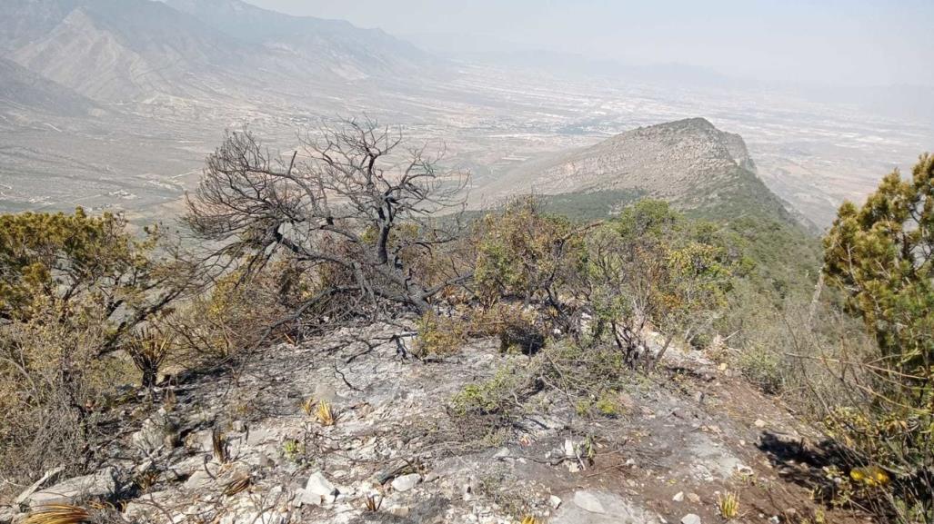 Brigadas forestales de Arteaga atienden conatos de incendios