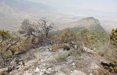 Brigadas forestales de Arteaga atienden conatos de incendios