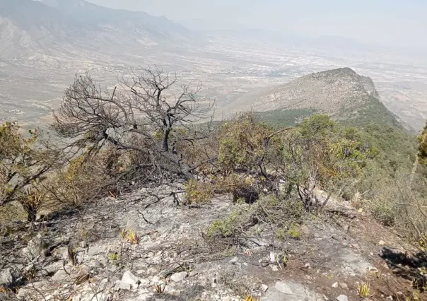 Brigadas forestales de Arteaga atienden conatos de incendios