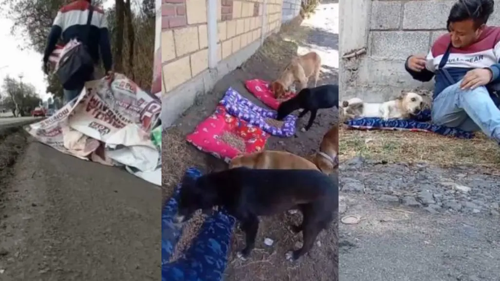 #VIDEO, joven se viraliza por convertir basura electoral en camas para perritos