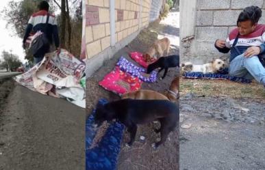 #VIDEO, joven se viraliza por convertir basura electoral en camas para perritos