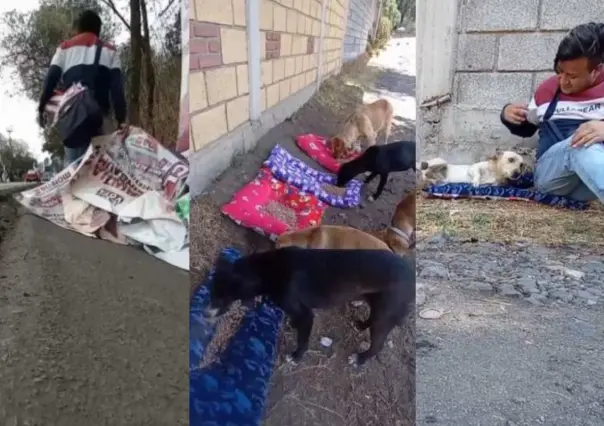 #VIDEO, joven se viraliza por convertir basura electoral en camas para perritos