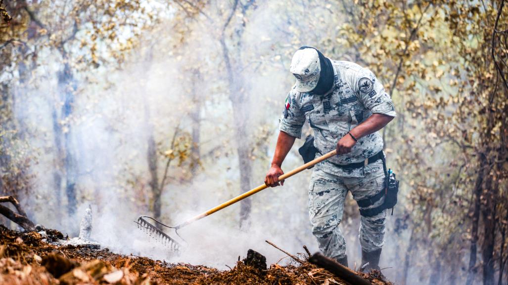 Combate incendio forestal: 80% controlado en Sierra de Santiago