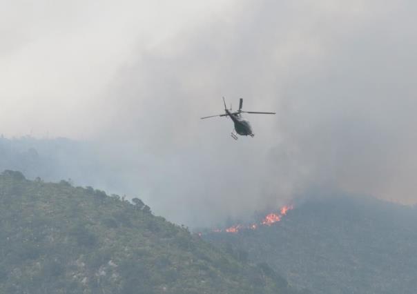 Se han atendido 20 conatos de incendio en Coahuila en esta temporada de calor