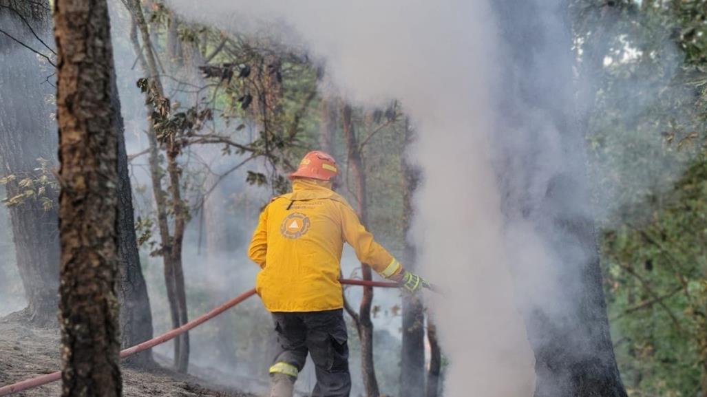 Extinguen 40% incendio forestal en Santiago, Nuevo León