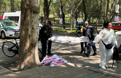 Muere ciclista arrollado en Paseo de la Reforma, detienen al responsable