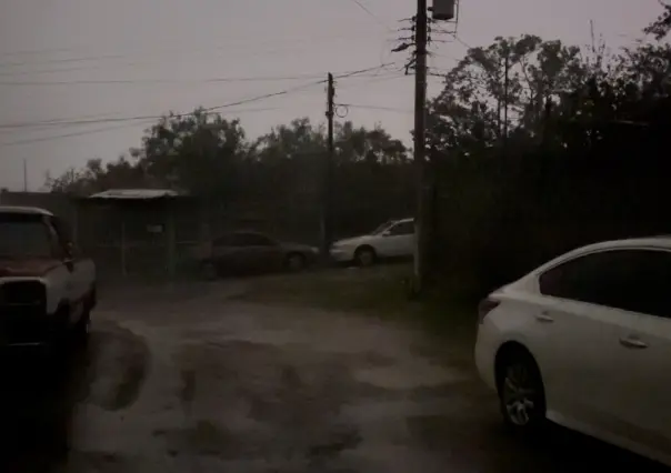 Tormenta en Nuevo Laredo deja fallas de energía eléctrica y árboles caídos