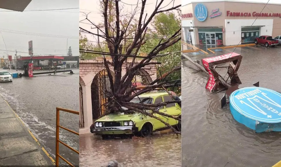 Se reportaron distintos daños tras la tormenta en la región Carbonífera. (Fotografía: Redes sociales)