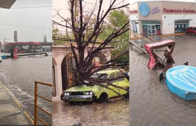 Fuerte tormenta y vientos causan graves daños materiales en Sabinas