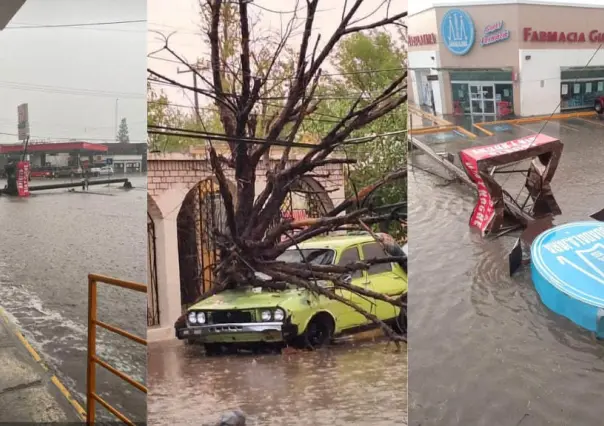 Fuerte tormenta y vientos causan graves daños materiales en Sabinas