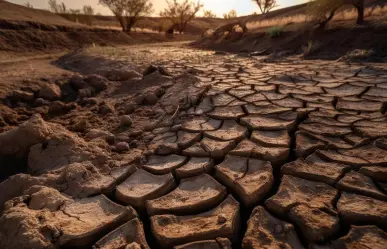 Pronóstico del tiempo para Tamaulipas