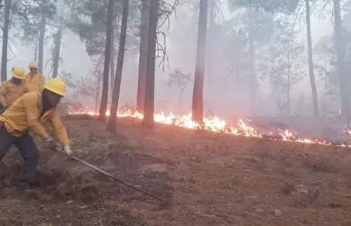 Siguen activos ocho incendios forestales en Chihuahua