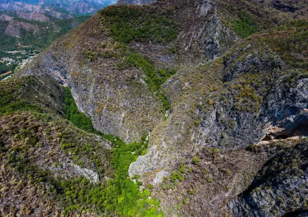 Incendio forestal afectó 900 hectáreas en Los Cuartones en Santiago