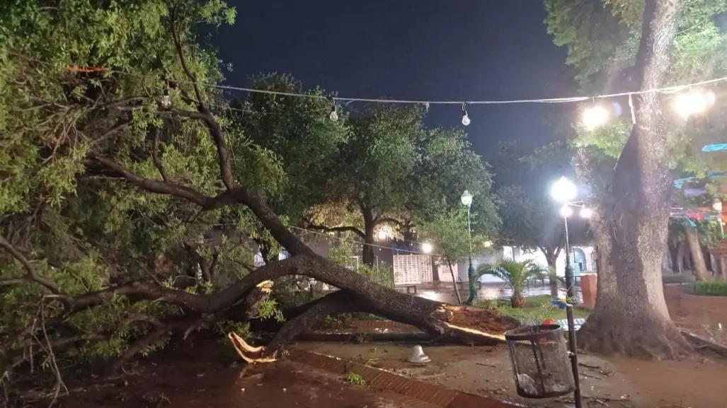 Pronóstica Conagua lluvias y vientos fuertes en Tamaulipas esta noche