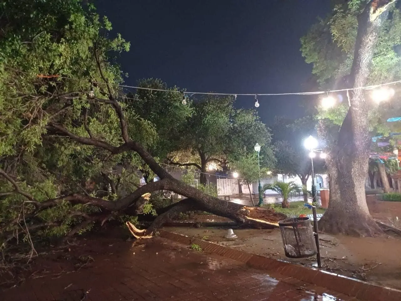 La noche del martes la tormenta con fuertes vientos  que llegó a Nuevo Laredo ocasionó  la caída de arboles, postes y anuncios. Foto: Protección Civil y Bomberos  de Nuevo Laredo