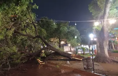 Pronóstica Conagua lluvias y vientos fuertes en Tamaulipas esta noche