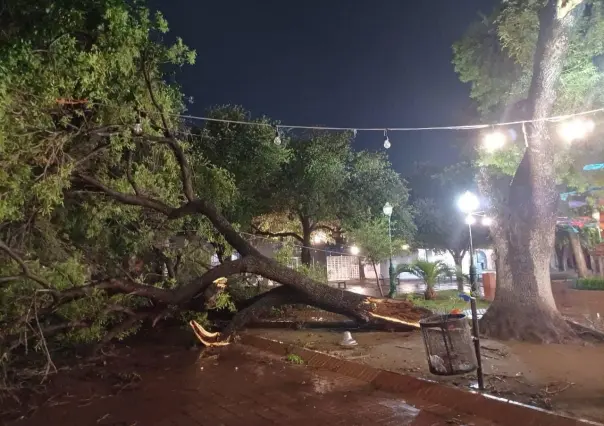 Pronóstica Conagua lluvias y vientos fuertes en Tamaulipas esta noche