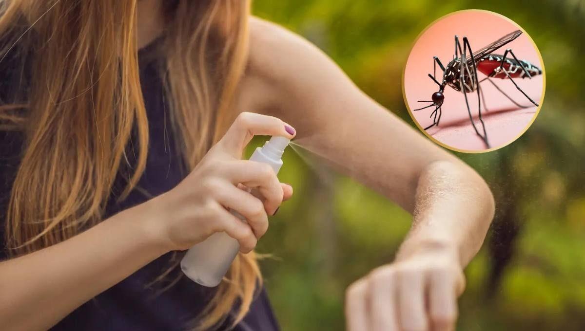 Usa repelente para prevenir el dengue. Foto: redes sociales