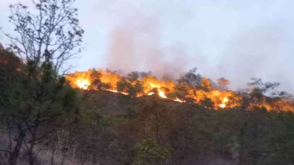 Luchan contra fuego en la Sierra de Nanchititlan de Luvianos