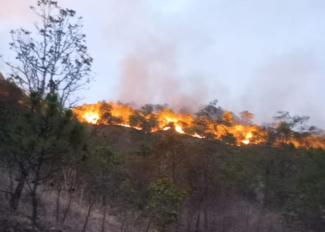 El fuego fue reportado desde el 27 de mayo. Imagen: GEM