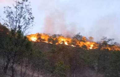 Luchan contra fuego en la Sierra de Nanchititlan de Luvianos