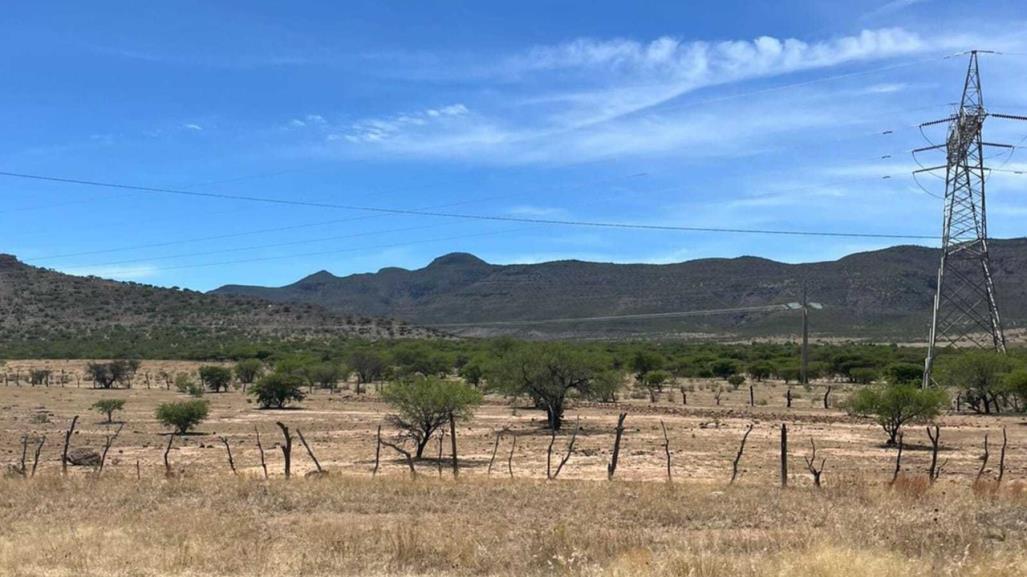 Muy crítica situación del campo asegura Alcalde