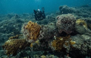 Maravillas submarinas en Sisal, entre naufragios y restos de barcos antiguos