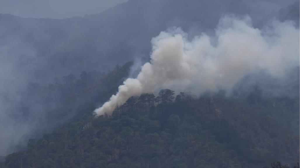 Incendio forestal del Cañón del Novillo se reactiva en Tamaulipas